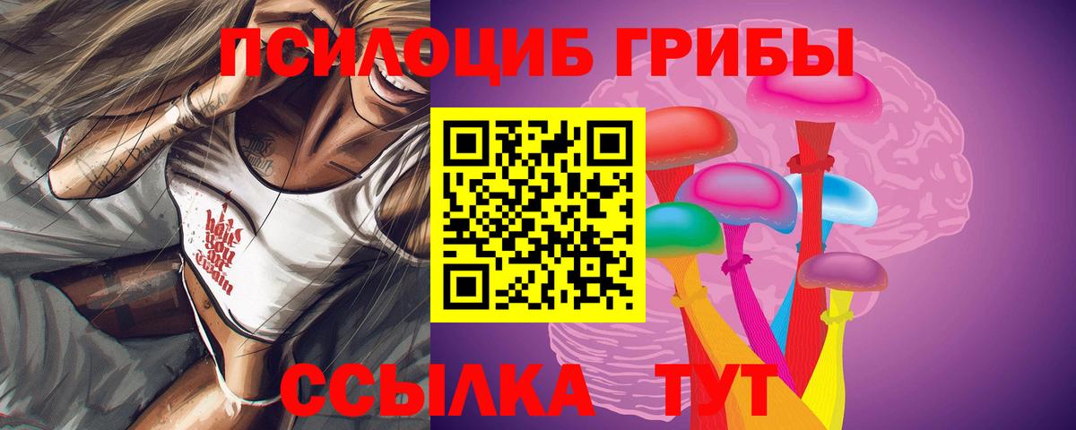 Касимов  купить  сайты  Вход с VPN  Галлюциногенные грибы Magic Shrooms 